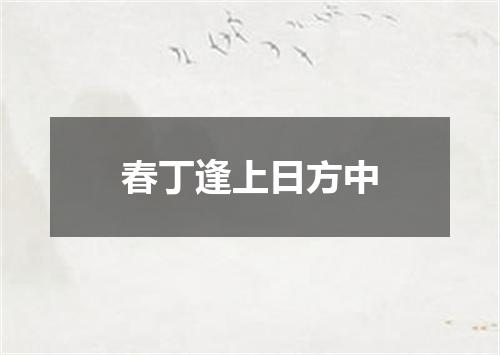 春丁逢上日方中