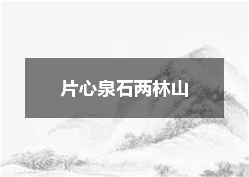 片心泉石两林山