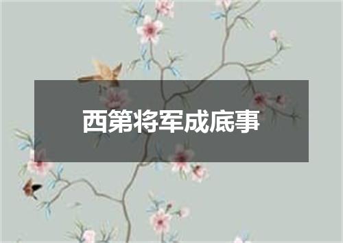 西第将军成底事