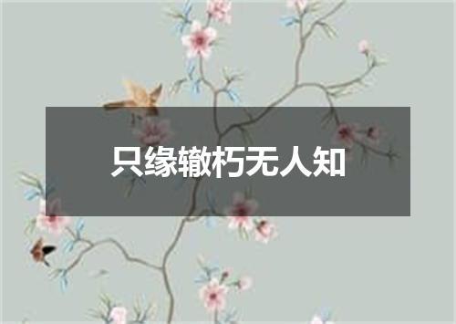 只缘辙朽无人知