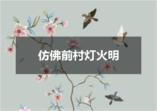 仿佛前村灯火明