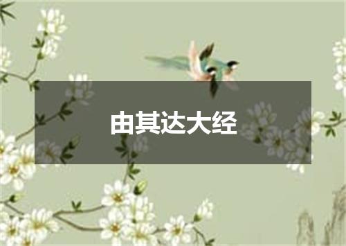 由其达大经