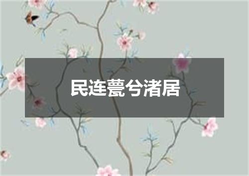 民连甍兮渚居