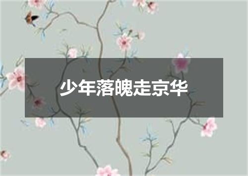 少年落魄走京华