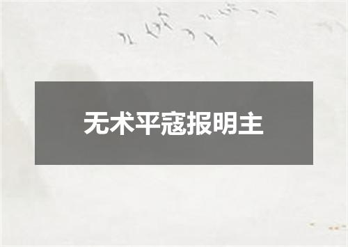 无术平寇报明主