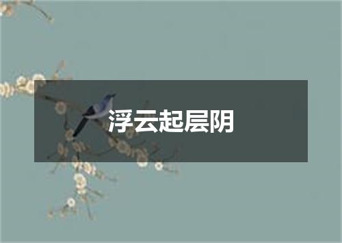 浮云起层阴