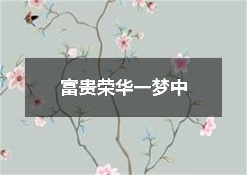 富贵荣华一梦中