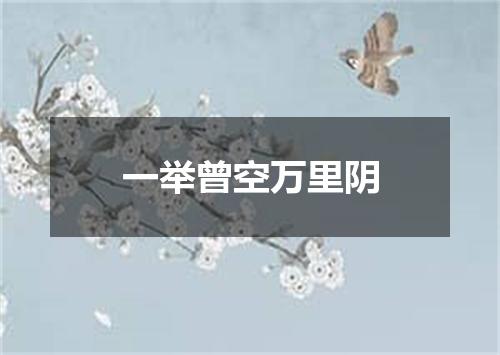 一举曾空万里阴