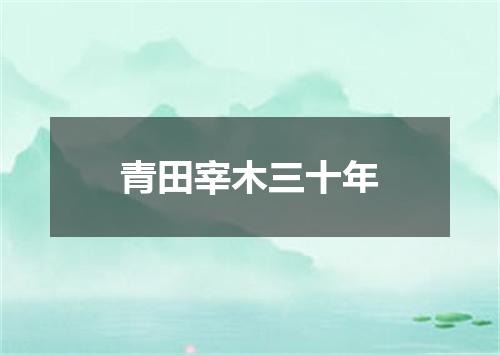 青田宰木三十年