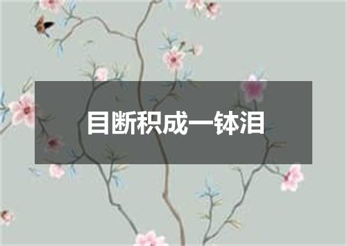 目断积成一钵泪