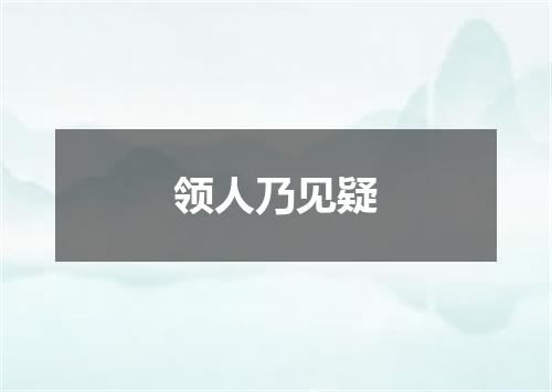 领人乃见疑