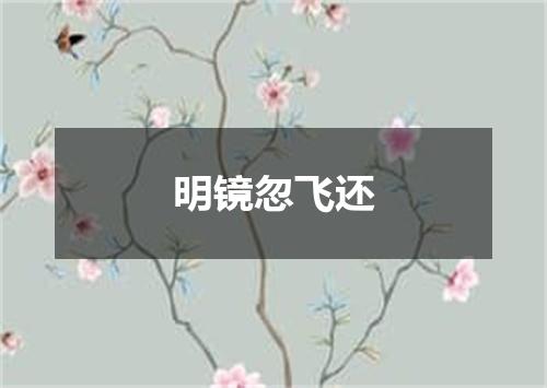 明镜忽飞还