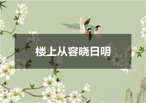 楼上从容晓日明