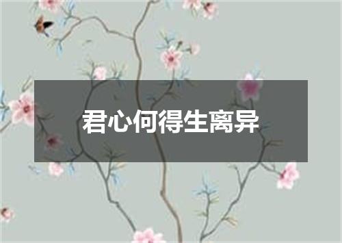 君心何得生离异