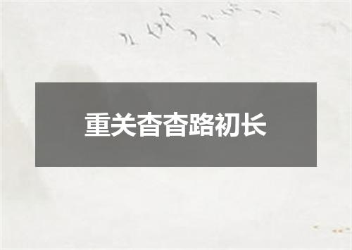 重关杳杳路初长