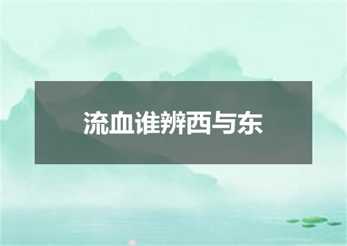 流血谁辨西与东