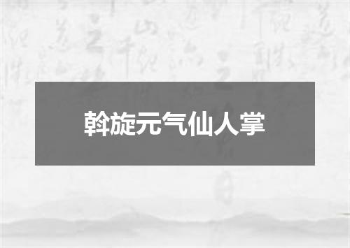 斡旋元气仙人掌