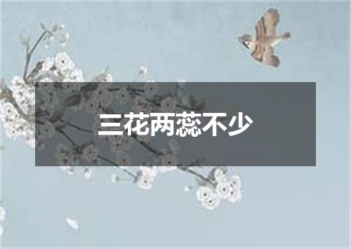 三花两蕊不少