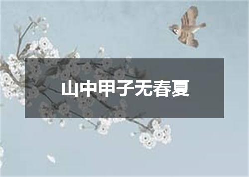 山中甲子无春夏