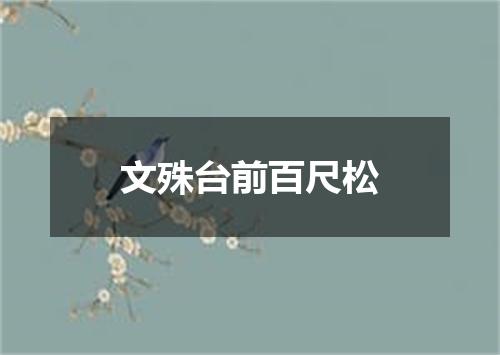 文殊台前百尺松