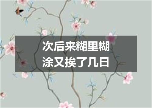 次后来糊里糊涂又挨了几日