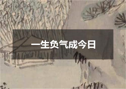 一生负气成今日