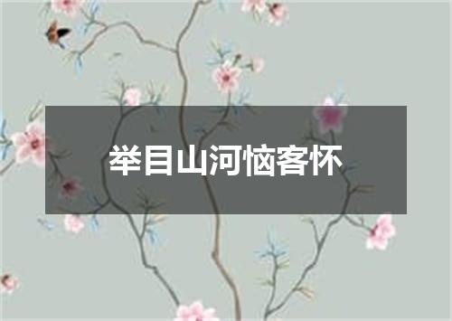 举目山河恼客怀