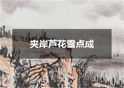 夹岸芦花雪点成