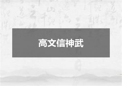 高文信神武