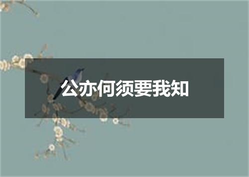 公亦何须要我知