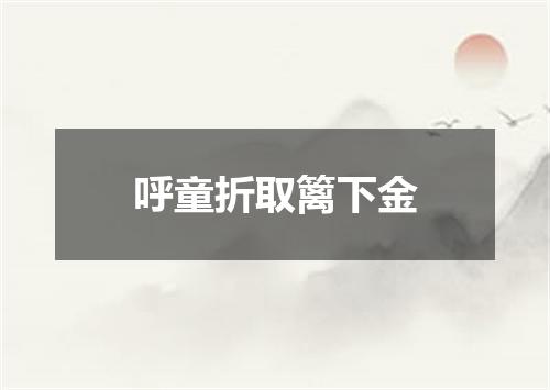 呼童折取篱下金