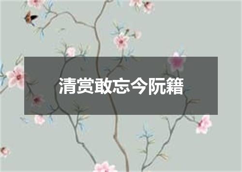 清赏敢忘今阮籍