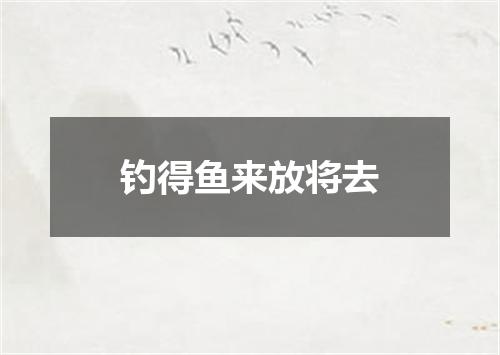 钓得鱼来放将去