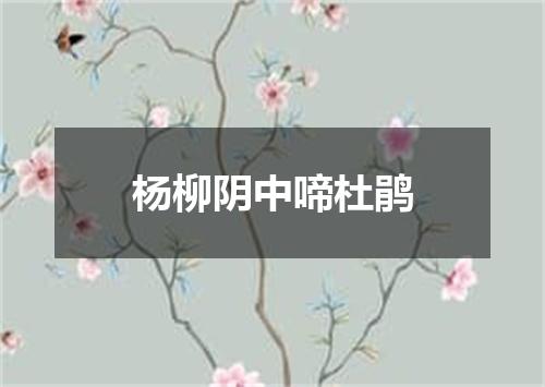 杨柳阴中啼杜鹃