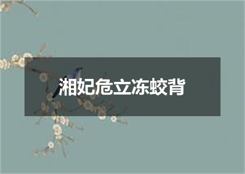 湘妃危立冻蛟背