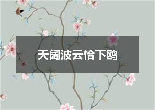 天阔波云恰下鸥