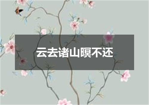 云去诸山暝不还