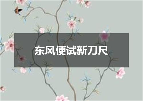 东风便试新刀尺