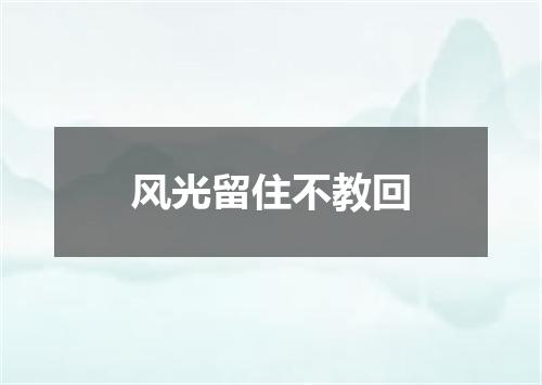 风光留住不教回