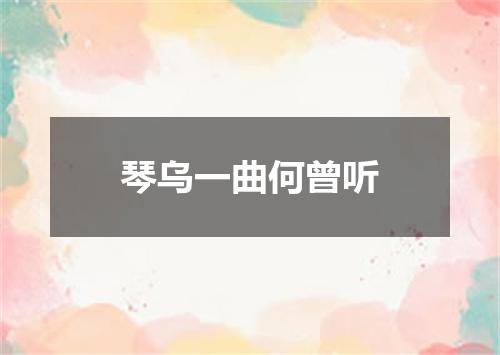 琴乌一曲何曾听