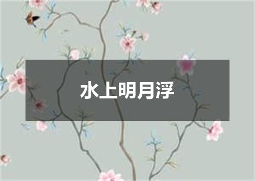 水上明月浮