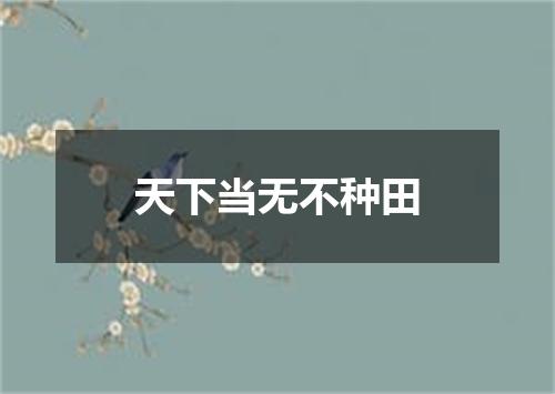 天下当无不种田