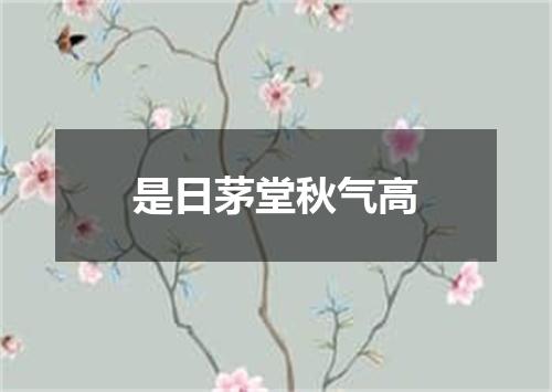 是日茅堂秋气高