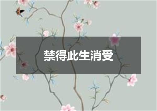 禁得此生消受