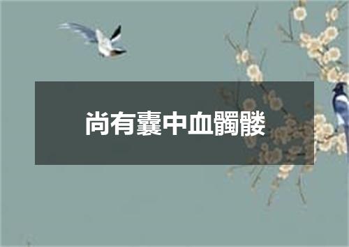 尚有囊中血髑髅