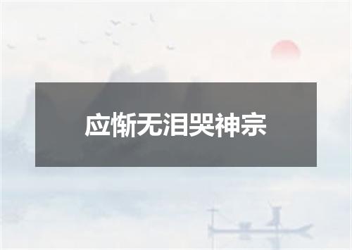 应惭无泪哭神宗