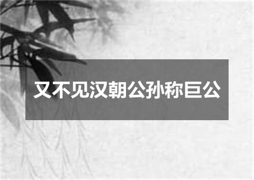 又不见汉朝公孙称巨公