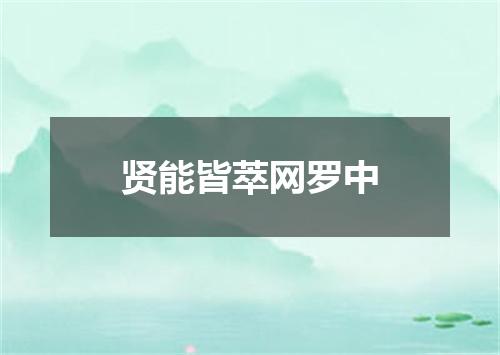 贤能皆萃网罗中