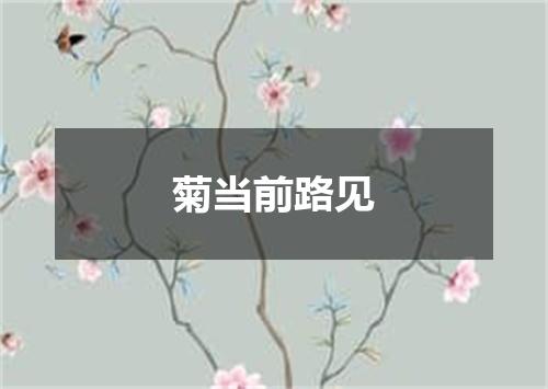 菊当前路见