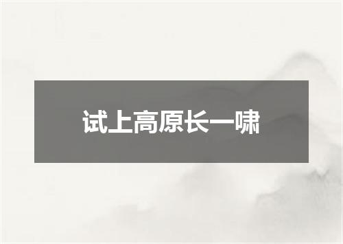 试上高原长一啸